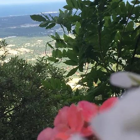 La Terrazza Del Sole Selva Di Fasano