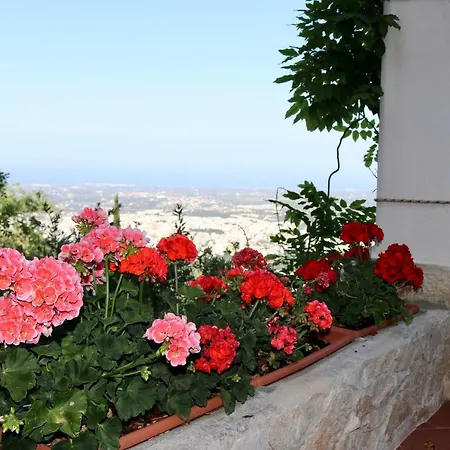 La Terrazza Del Sole * Selva Di Fasano
