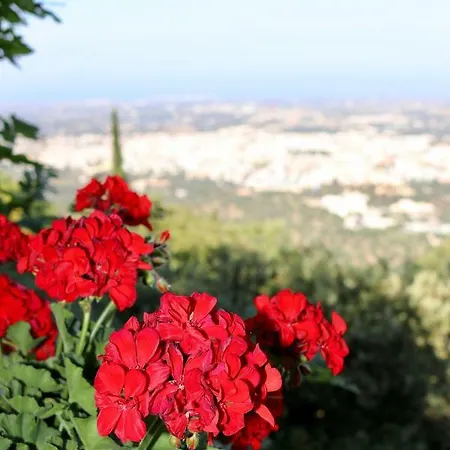Ferienhaus La Terrazza Del Sole